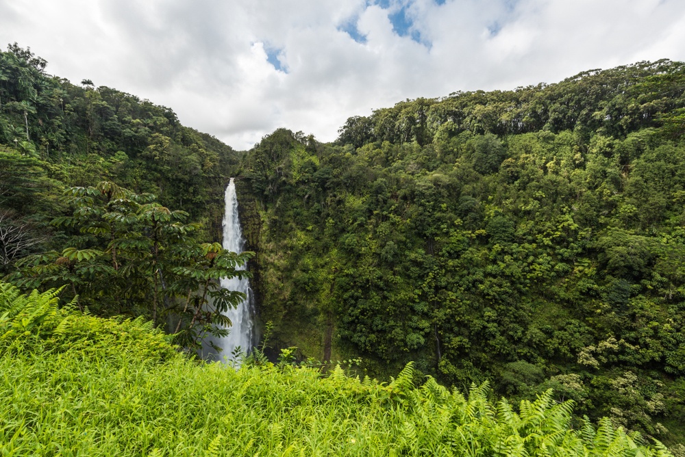 Akaka Falls State Park in Hawaii