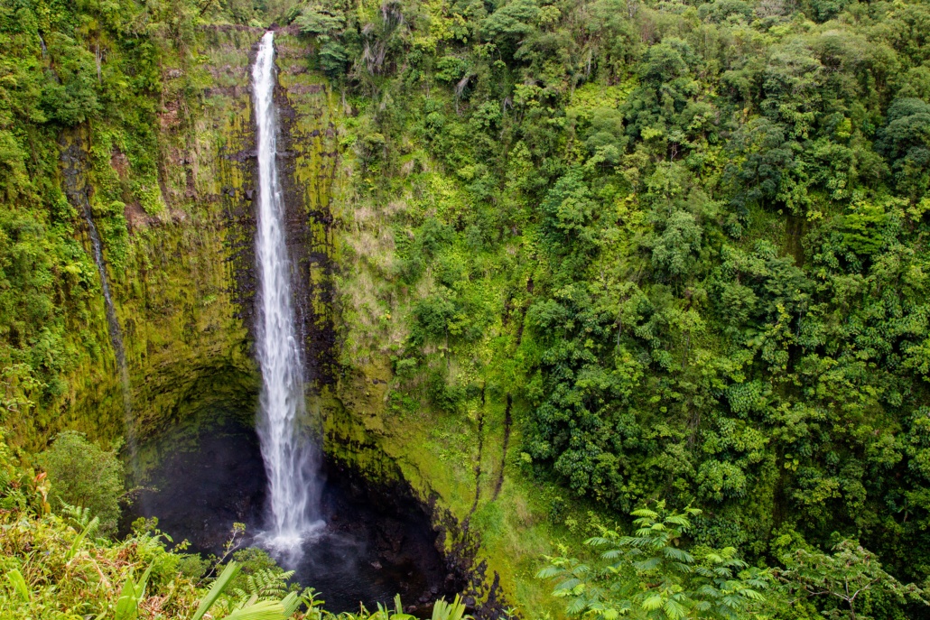 The lush Hilo side of the Big Island is were you'll find Akaka Waterfall