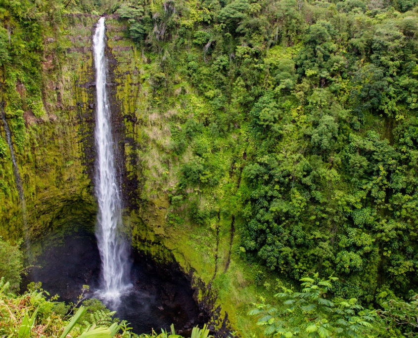 The lush Hilo side of the Big Island is were you'll find Akaka Waterfall