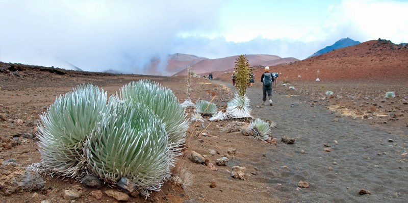 Haleakala Crater Hike