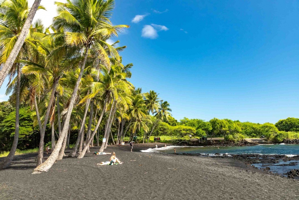 Punalu'u Black Sand Beach Visitors and Trees Big Island