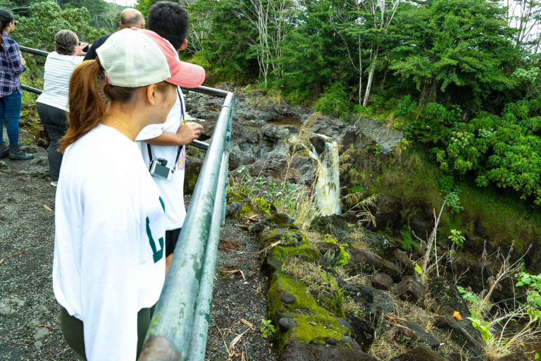 Rainbow Falls Visitors Above Falls Hilo Big Island feature