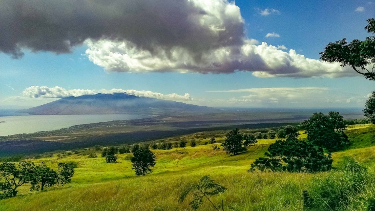 Ulupalakua Upcountry View Maui