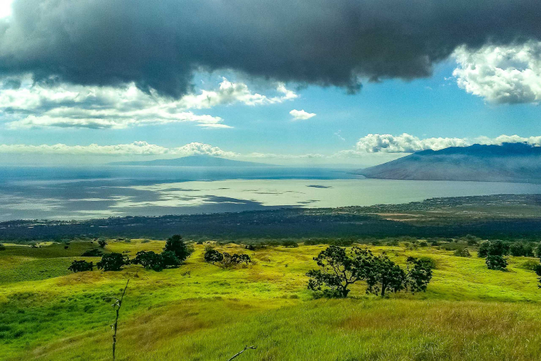 Upcountry Ulupalakua Scenic Maui shutterstock feature
