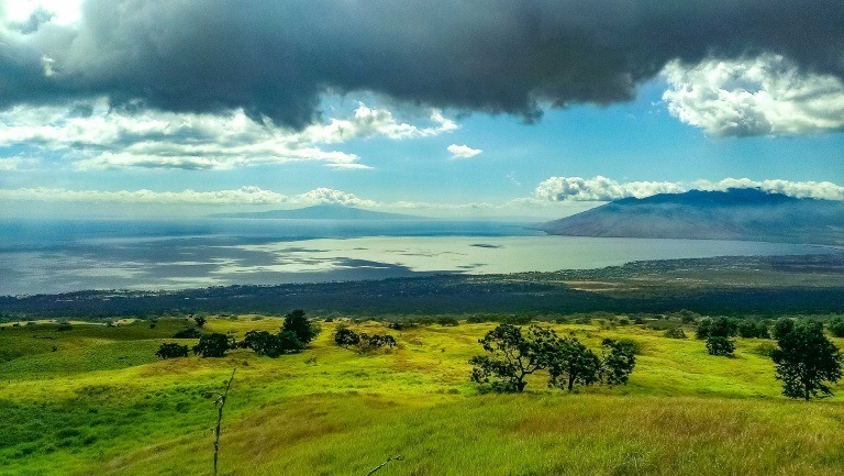 Upcountry Ulupalakua Scenic Maui