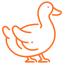 Nene Goose