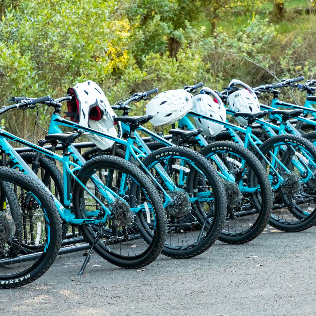 haleakala sunrise bike tour haleakala downhill bikes and helmets