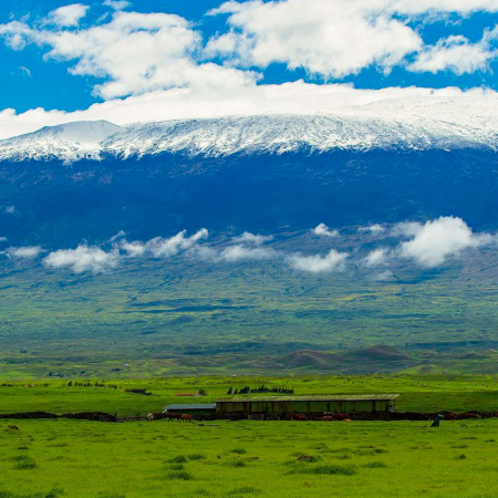 Grand Circle Tour Of Big Island