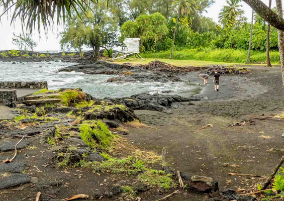 richardson black sand beach park hilo big island 