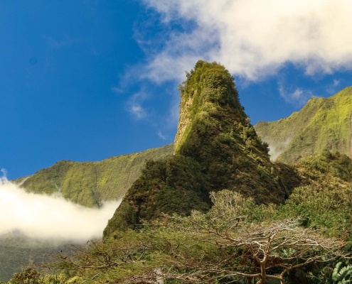 Iao Valley Needle Detail Maui