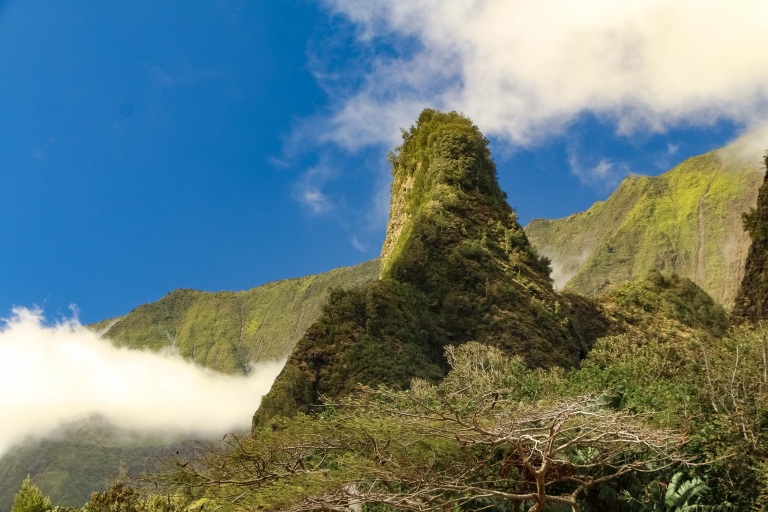 Iao Valley Needle Detail Maui