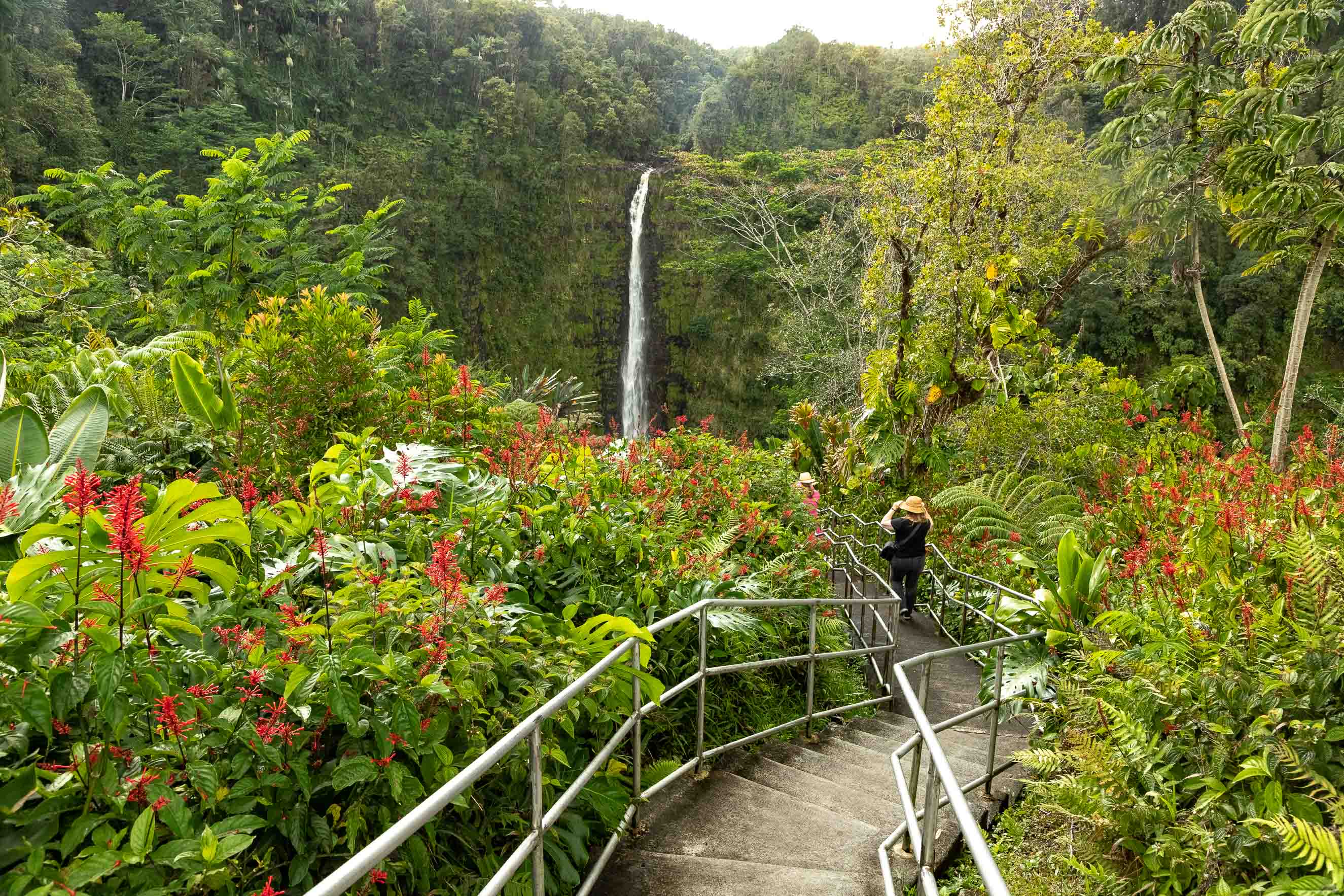 Akaka State Park Waterfalls