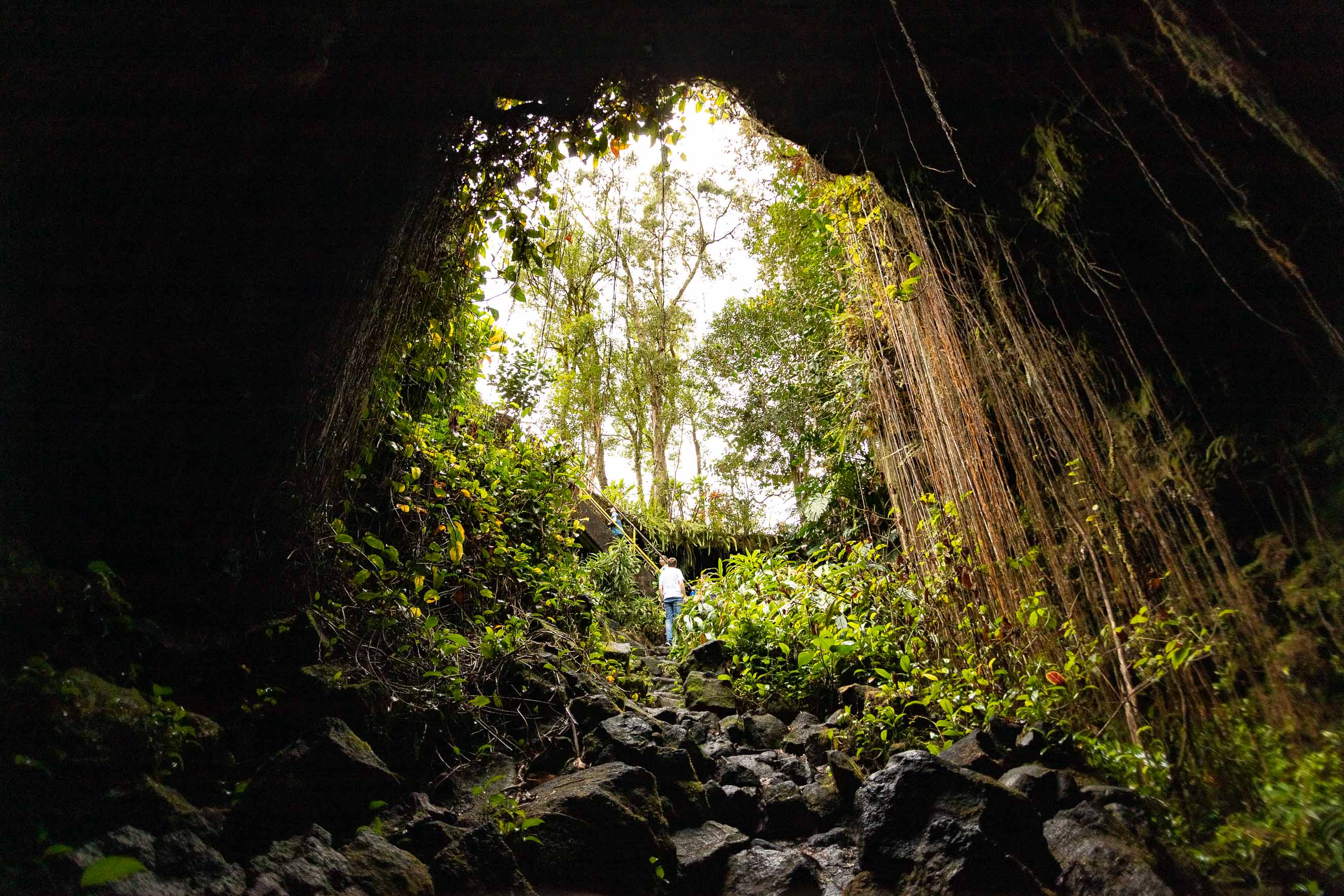 Kaumana Caves Skylight Entrance
