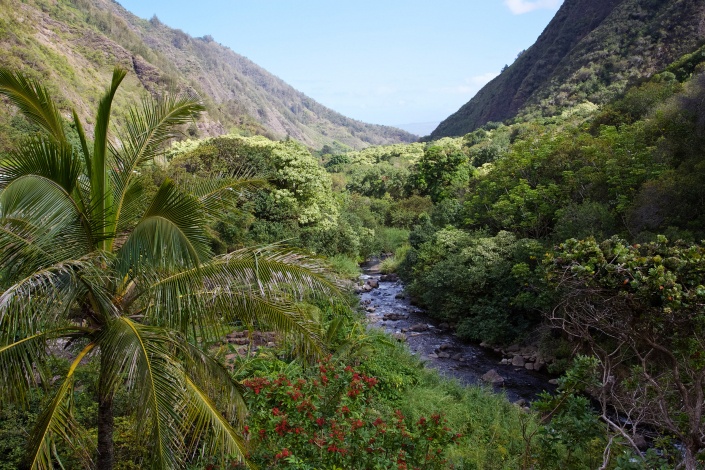 Maui's Iao Valley