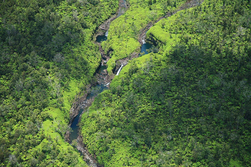 Helicopter Tour Reveal Hidden Streams And Waterfalls in Hawaii