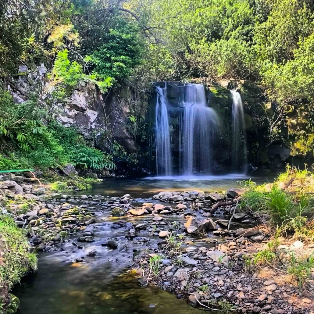 hawaii forest hawaii volcano unveiled falls