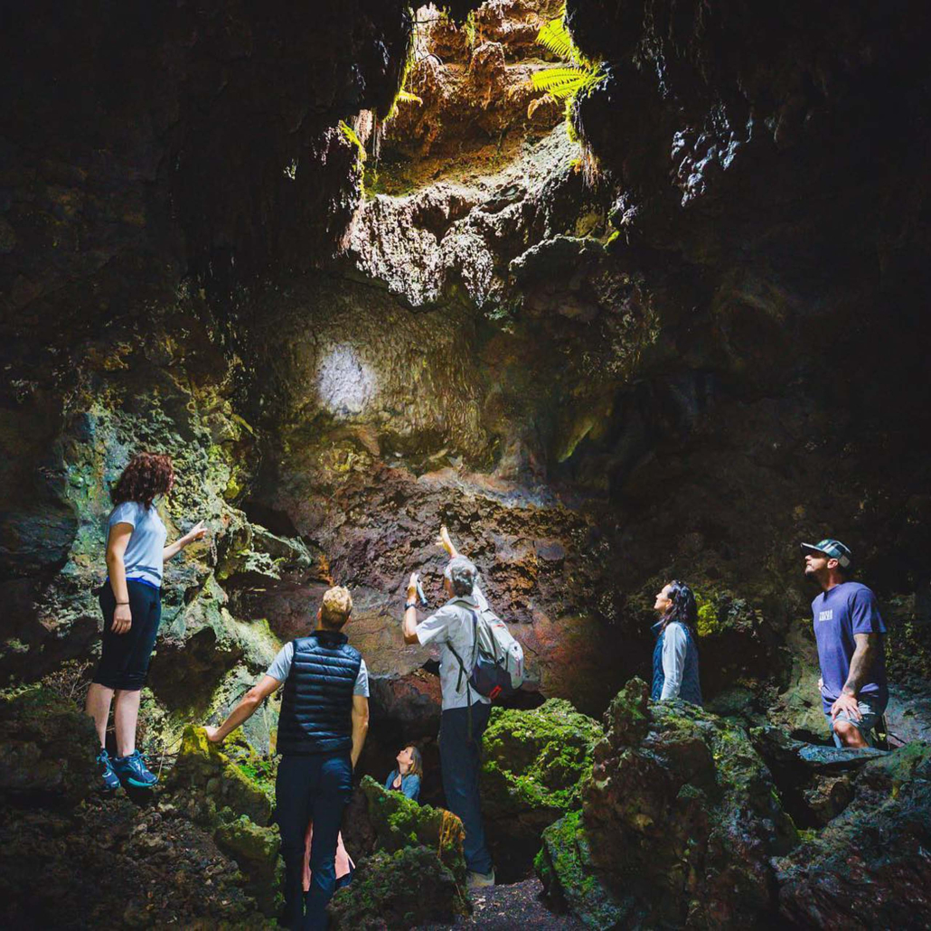 hawaii forest hawaii volcano unveiled lava cave