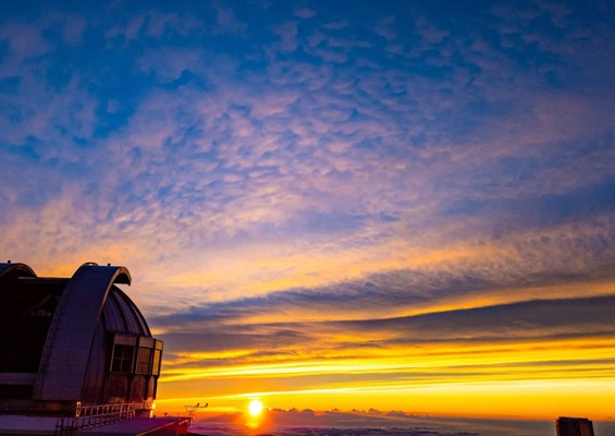 hawaii forest maunakea sunset stargazing sunset see