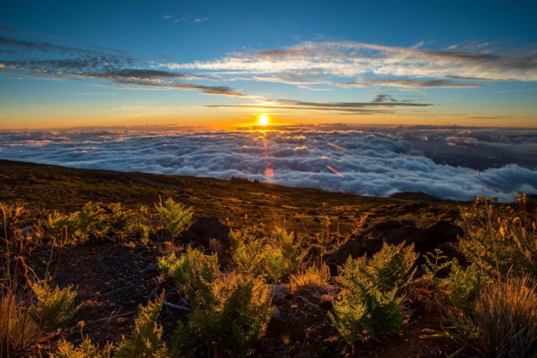 holoholomauitours private healekala summit and stroll tour feature sunset