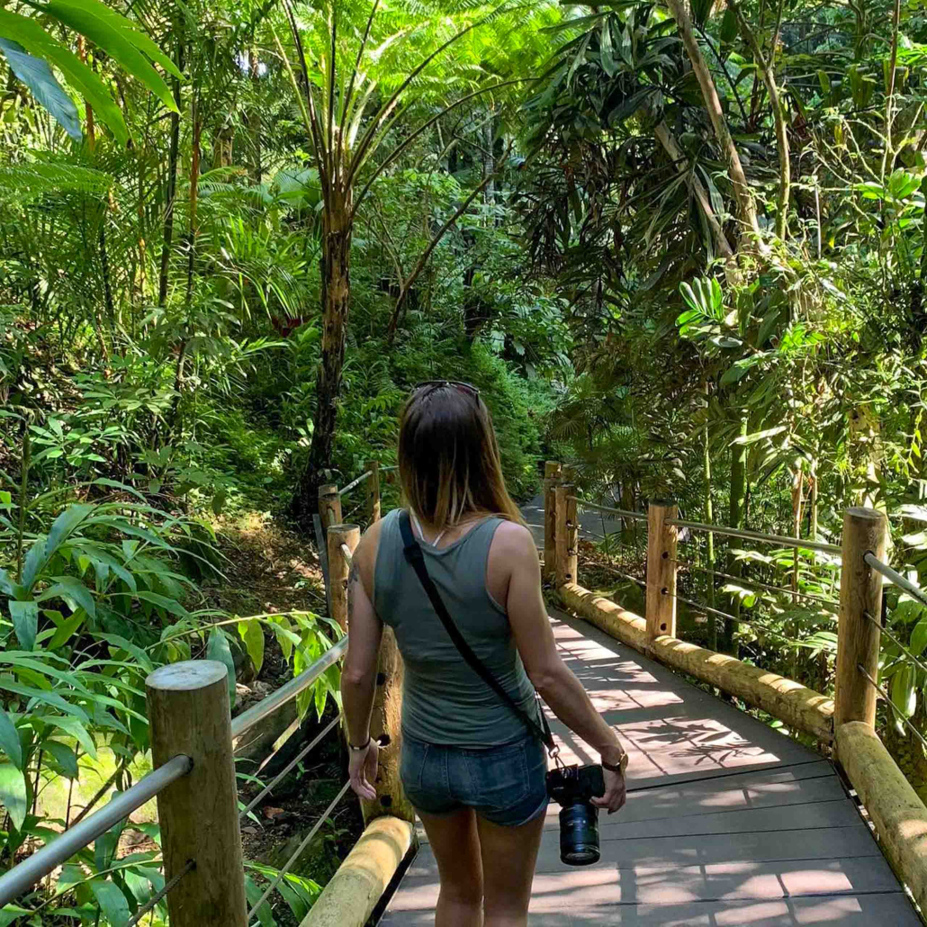 wasabitourshawaii big island full circle tour tourtist go to forest