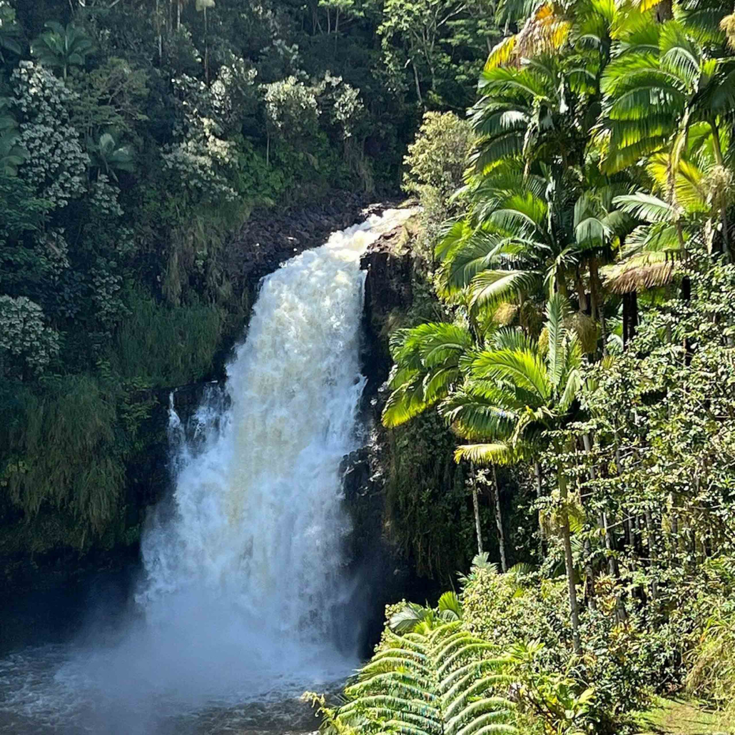wasabitourshawaii big island full circle tour waterfall beautiful shot