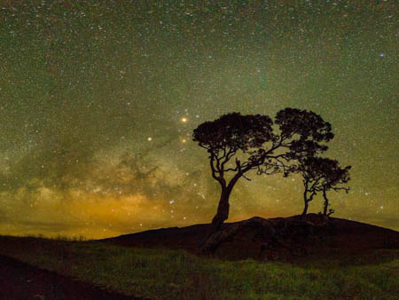 wasabitourshawaii twilight volcano and stargazing tour header