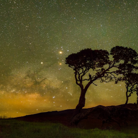wasabitourshawaii twilight volcano and stargazing tour product image