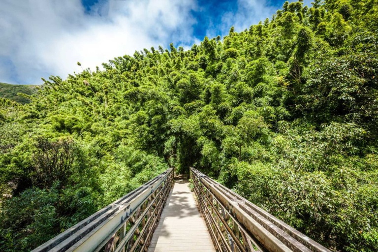 holoholomauitours exclusive maui volcano exploration haleakala national park trail
