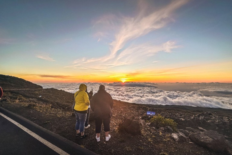 holoholomauitours exclusive maui volcano exploration haleakala sightseeing