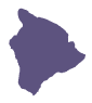 Big Island Icon