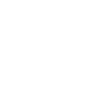 Big Island White Icon