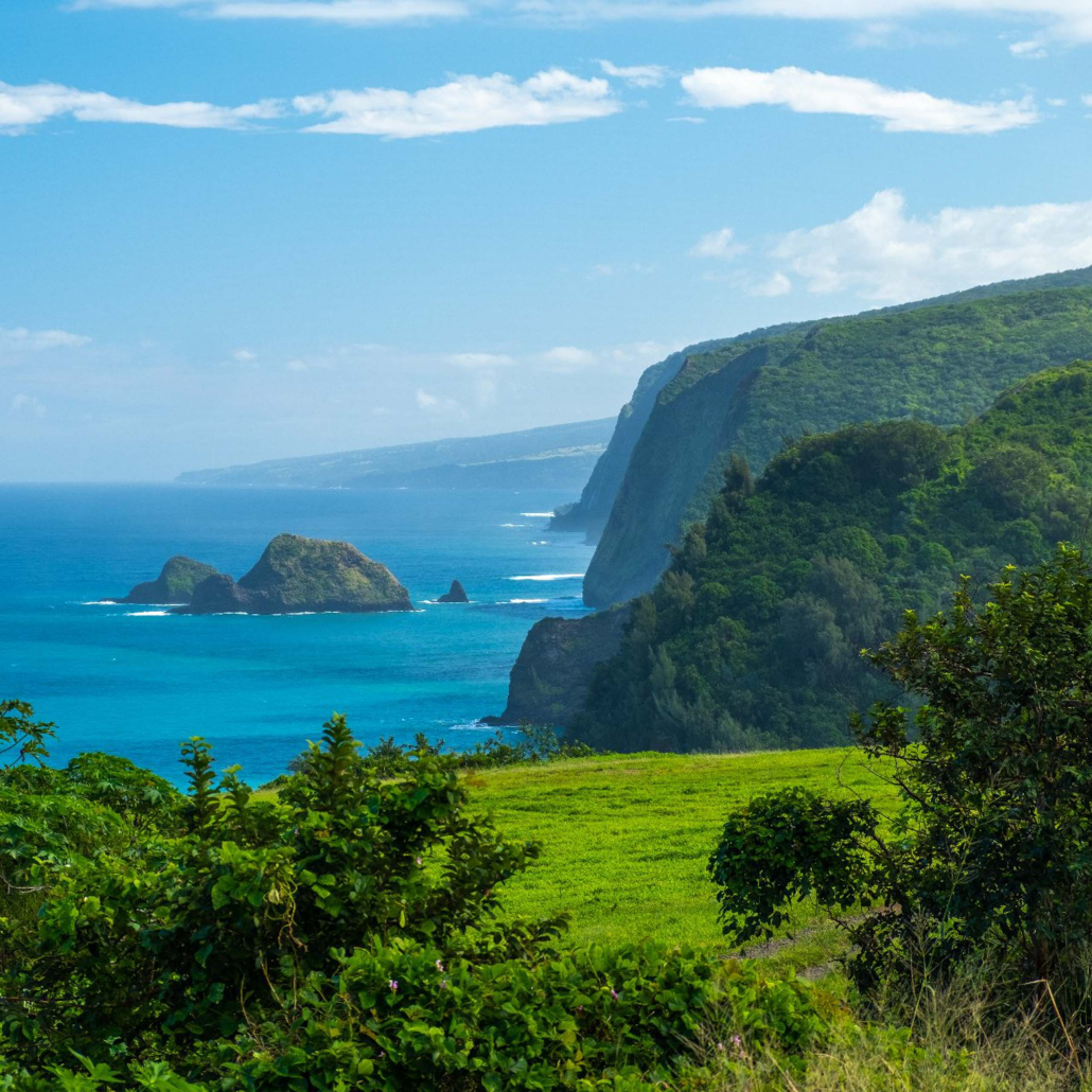 bluehawaiian big island spectacular helicopter big island hawaii near pololu valley