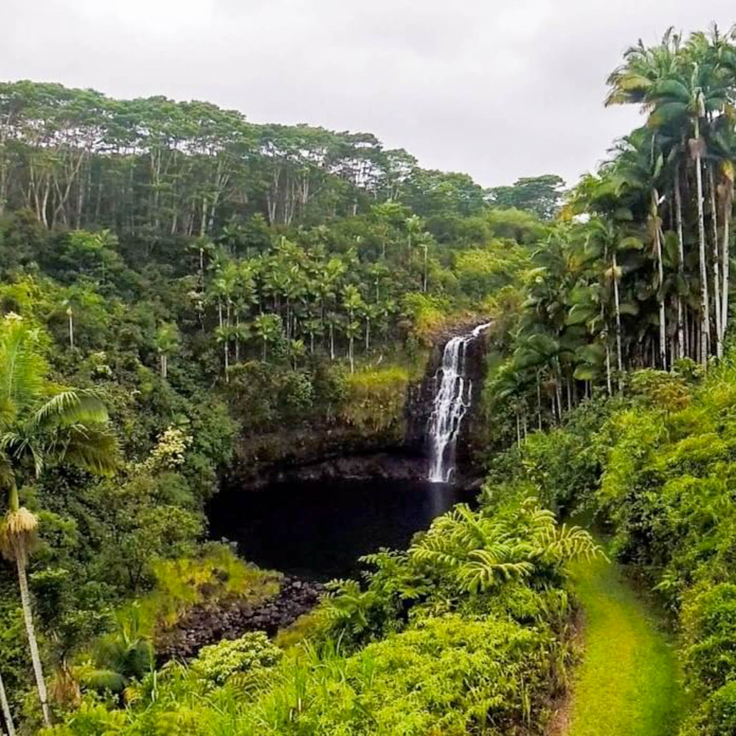 hilo tropical waterfalls hawaii forest big island
