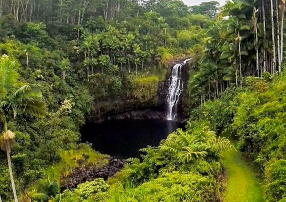 hilo tropical waterfalls hawaii forest big island slider