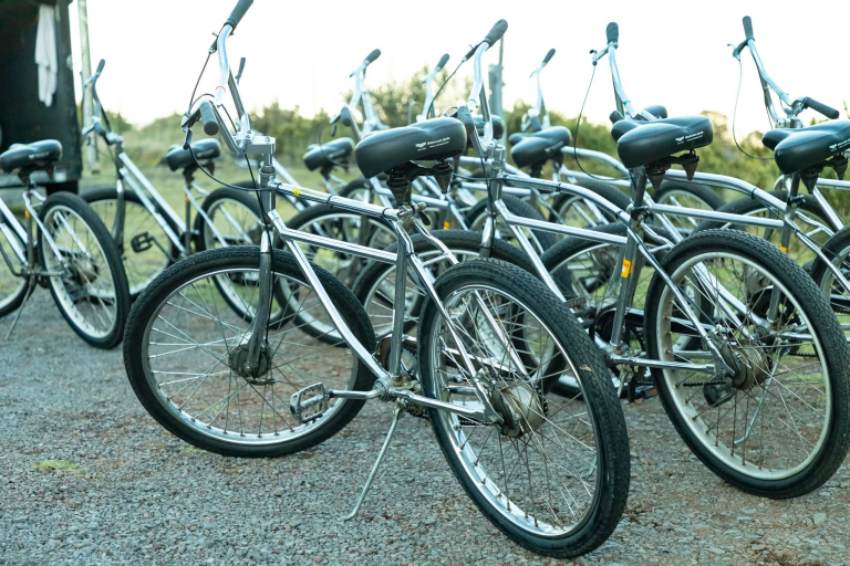 Haleakala Downhill Bikes Lineup Maui feature