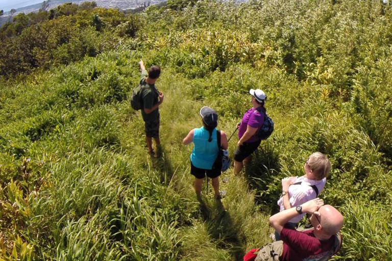 a walk in nature oahu bike hawaii feature