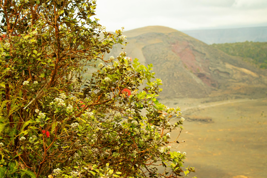 an unforgettable volcano adventure tour big island hawaii