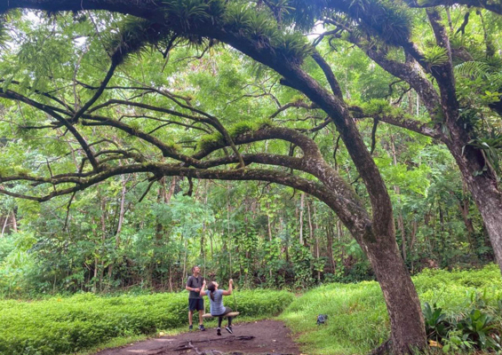 bikehawaii rainforest volcano hike tall tree slider