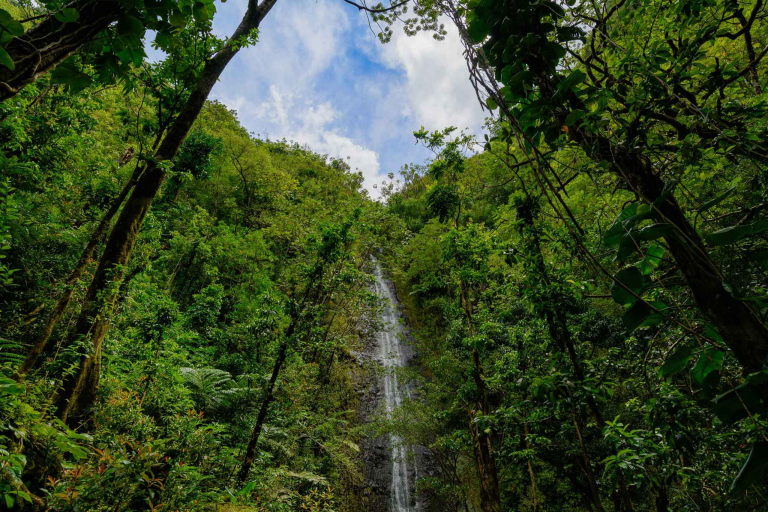breathtaking views of manoa falls on oahu hawaii feature