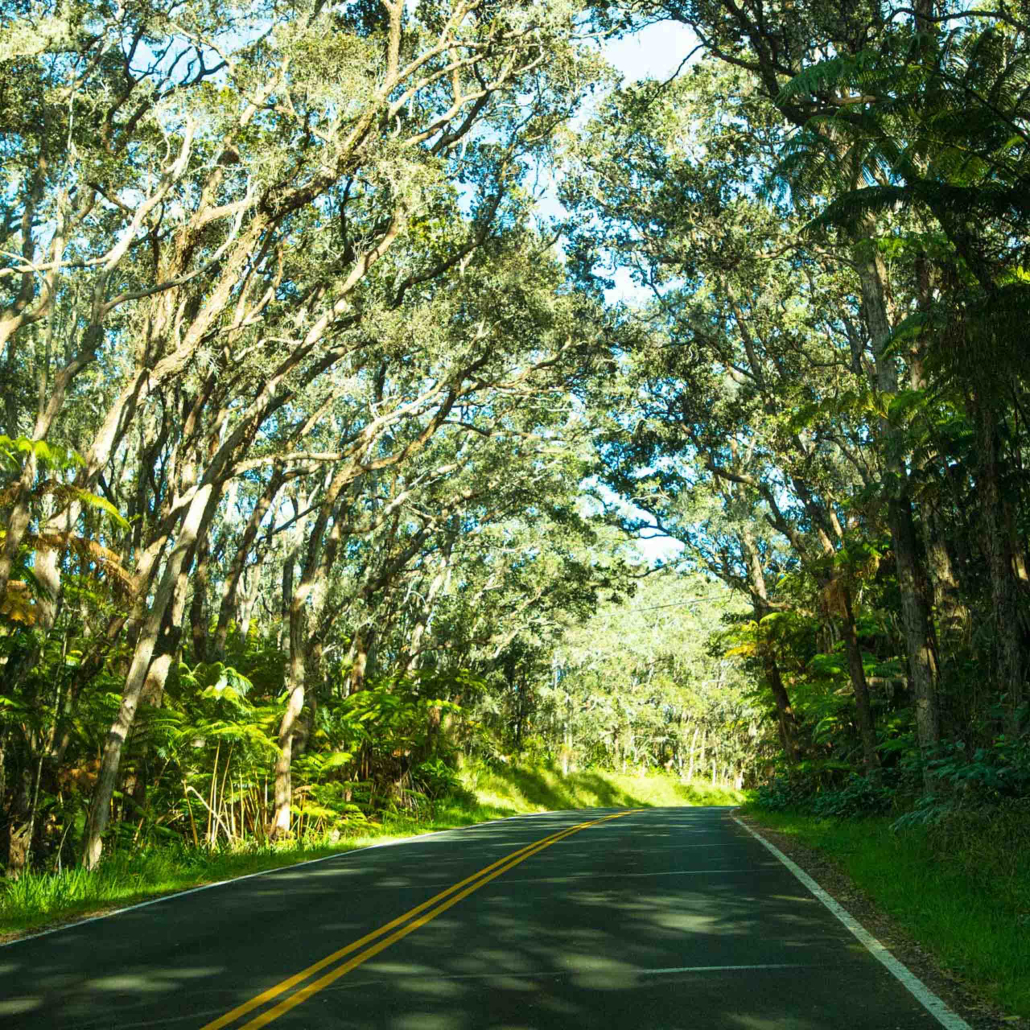 chain of craters road hawaii volcanoes national park big island 