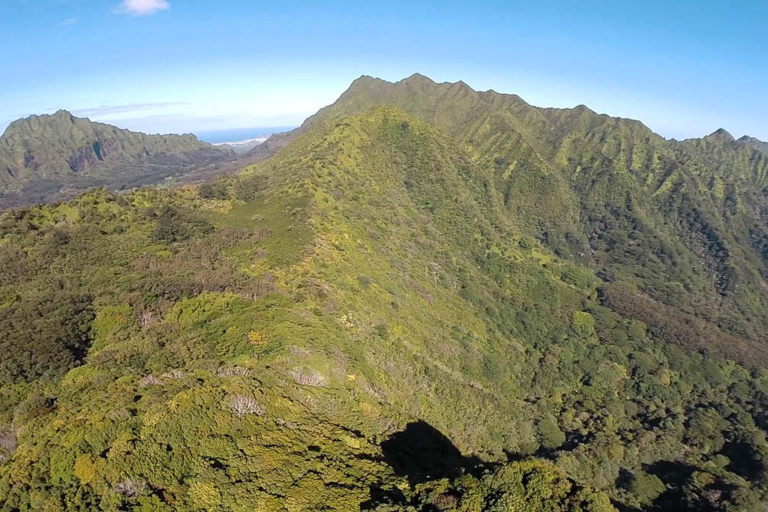 explore a lush native rainforest oahu hawaii feature
