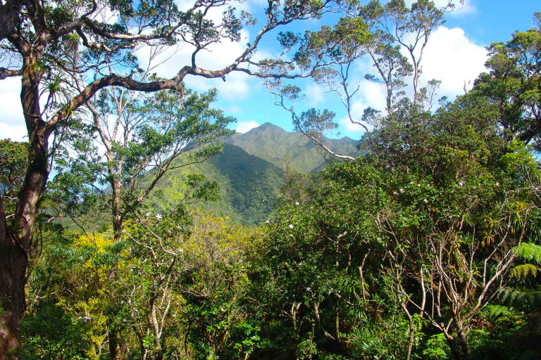 explore a volcano in the rainforest on this oahu hike adventure bike hawaii feature