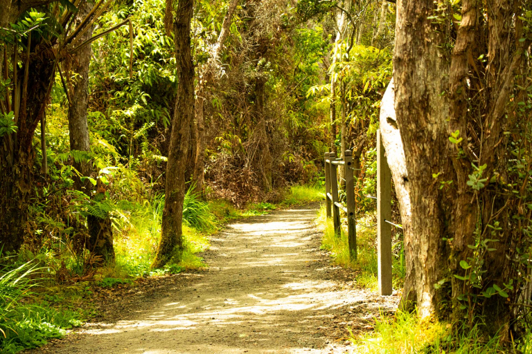 explore the lush regions around hilo on this full day tour big island hawaii
