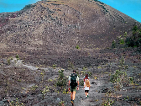 family hike hawaii forest big island