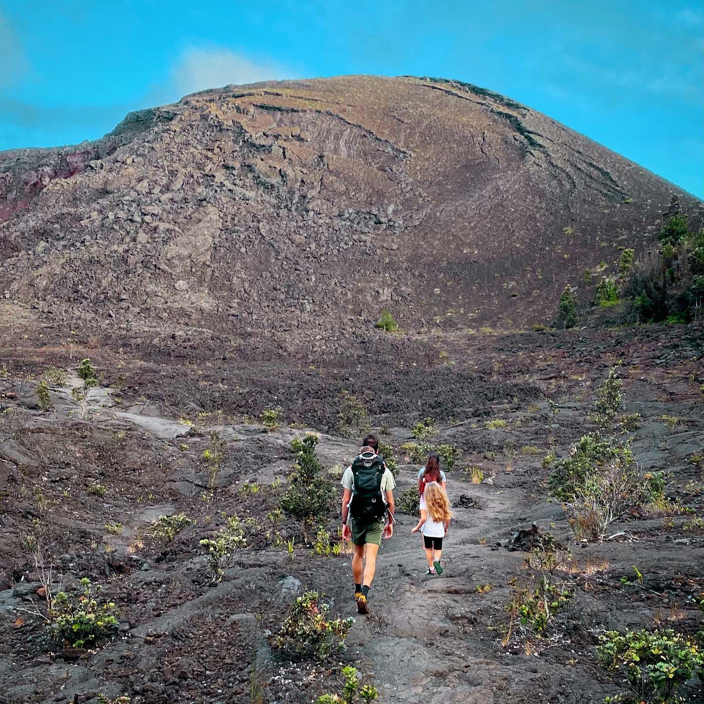 Hidden Craters Hike | Big Island | Volcano Tours