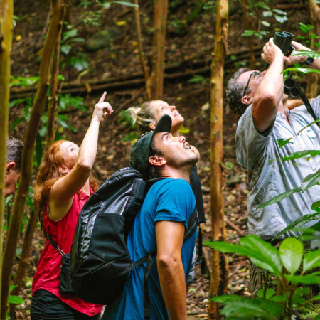 Nature Lovers & Birdwatchers