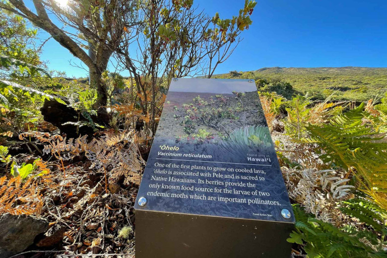 haleakala national park is home to many rare and endangered plants and animal maui feature