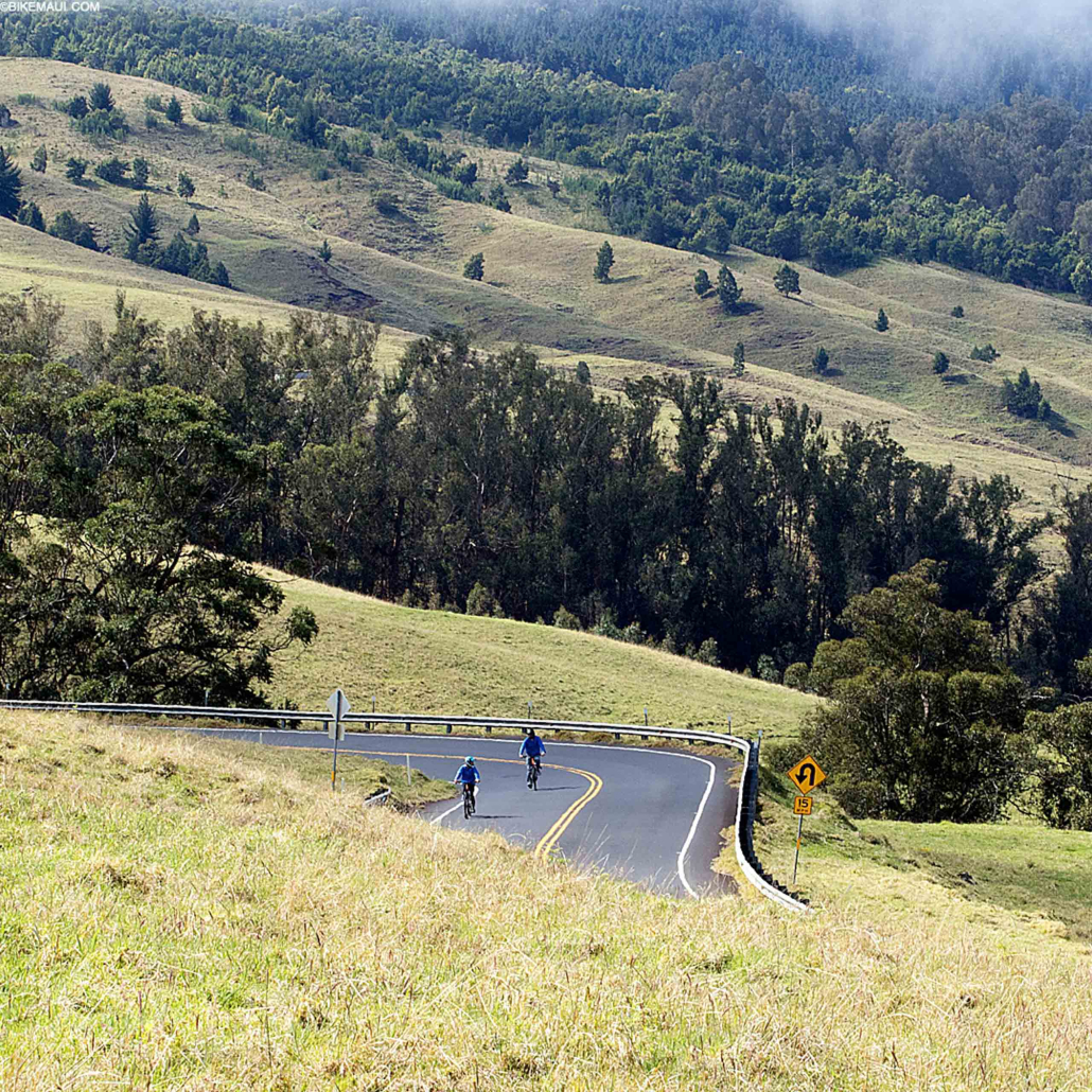 haleakalaecotours haleakala summit and upcountry bike downhill