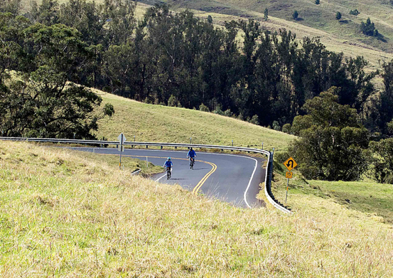 haleakalaecotours haleakala summit and upcountry bike downhill slider