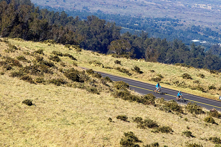 haleakalaecotours haleakala summit and upcountry bike on road